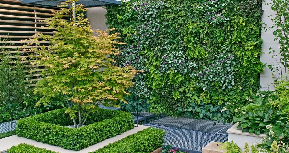 a vertical plant wall in a garden corner