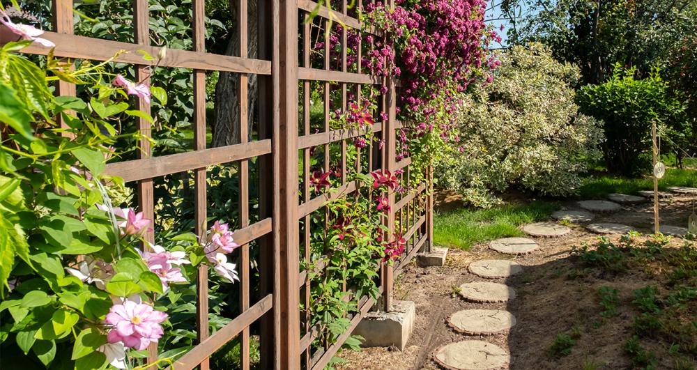 a wooden trellis fence covering in climbing plants