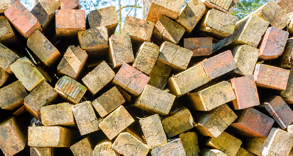A closeup of the ends of railway sleepers.