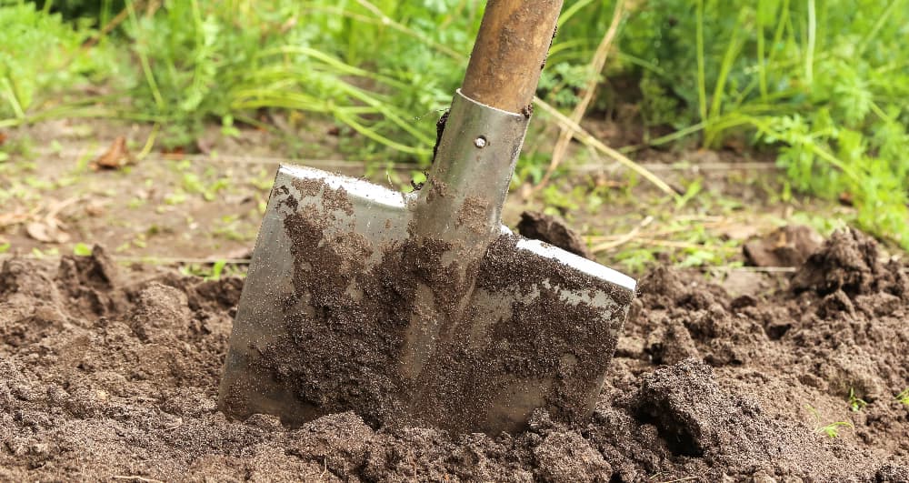 Close-up of a spade digging into soil while preparing ground for a fence post installation.