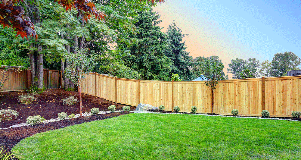 A pale wooden fence made of solid panels on a gentle garden slope.
