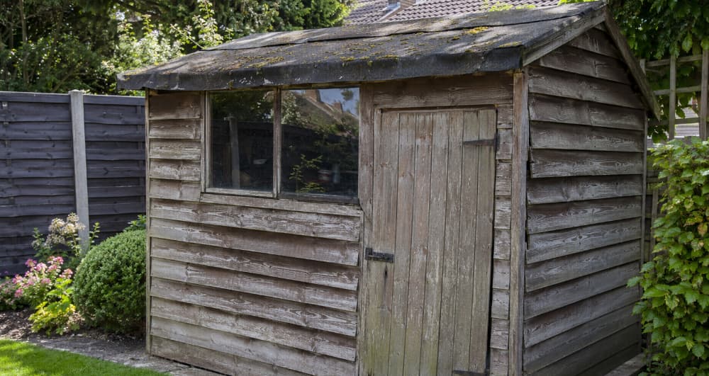 Ageing timber garden shed with faded wooden cladding, weathered door and a moss-covered felt roof in a well-maintained garden, showing clear signs of wear and the need for repair or replacement.