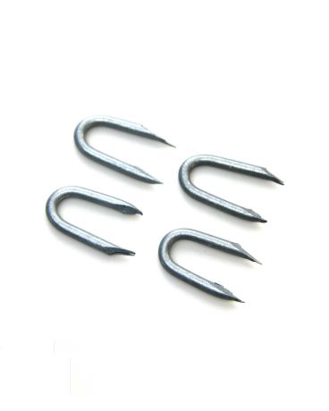 Galvanised Staples