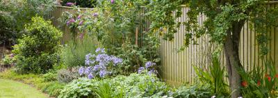 5 Essential Tips for Building Your Own Garden Fence