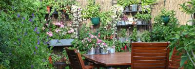 Nosey Neighbours Who? 10 Garden Screening Ideas that Combine Seclusion with Style