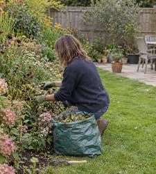 Get your outside space ready for autumn: essential end-of-summer gardening jobs