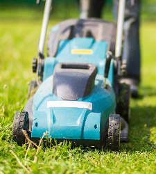 5 garden jobs to take care of in early spring 