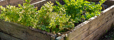 How To Lay Railway Sleepers In The Garden: 7 Steps To Stunning Borders And Raised Beds