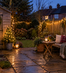 5 ways to make your garden feel festive this Christmas