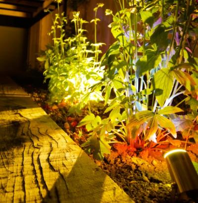 Autumn garden lighting tips