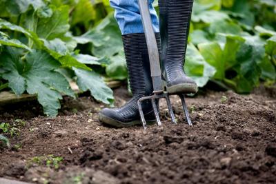 How gardening can put a spring in your step
