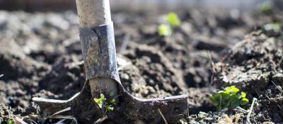All the tools for the trade - top-quality garden tool brands