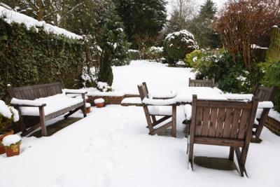 How to get your garden Autumn/Winter ready