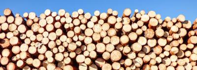 Why timber is the construction material of the past, present and the future