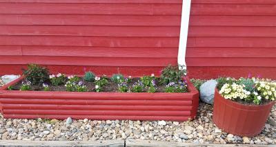 What is the best type of wood for raised beds?
