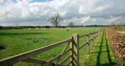 A practical post and rail fencing guide: everything you need to know