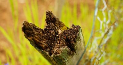 How to protect your fence post from rot with Postsaver Sleeves