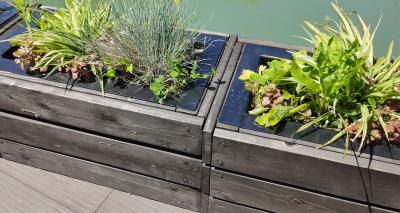 12 raised garden pond ideas that will make a splash in your plot