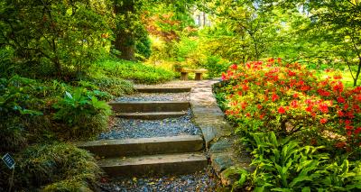 Level up your garden: how to build railway sleeper steps