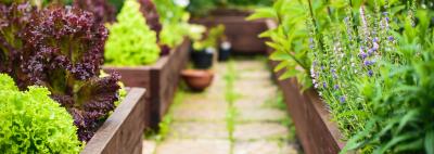 How to build a raised bed with sleepers as a newbie landscaper