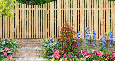 Types of Wood Fences: 6 Steps to Settling on the Best Style for You