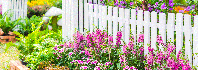 Garden Fence Ideas: Smart Solutions For Every Outdoor Space