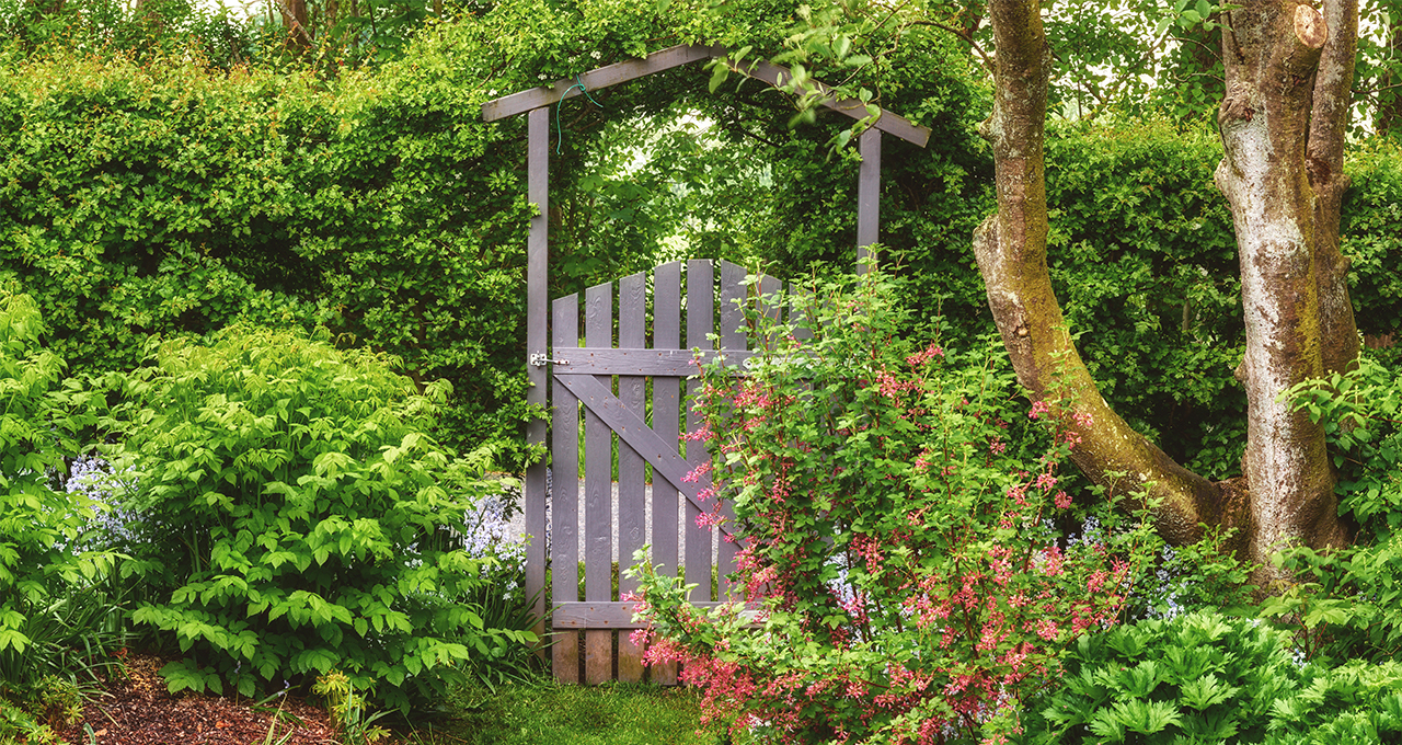 gated garden arch ideas