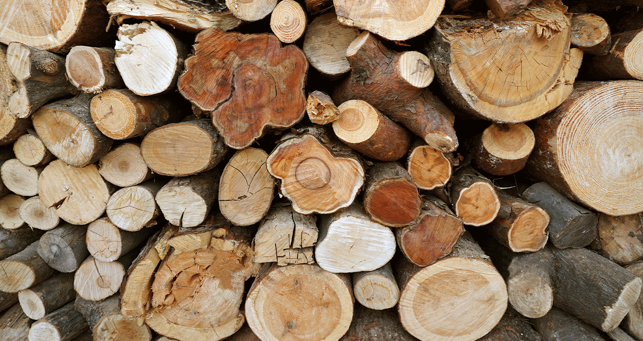 A closeup image of various types of logs that will become timber for outdoor use.