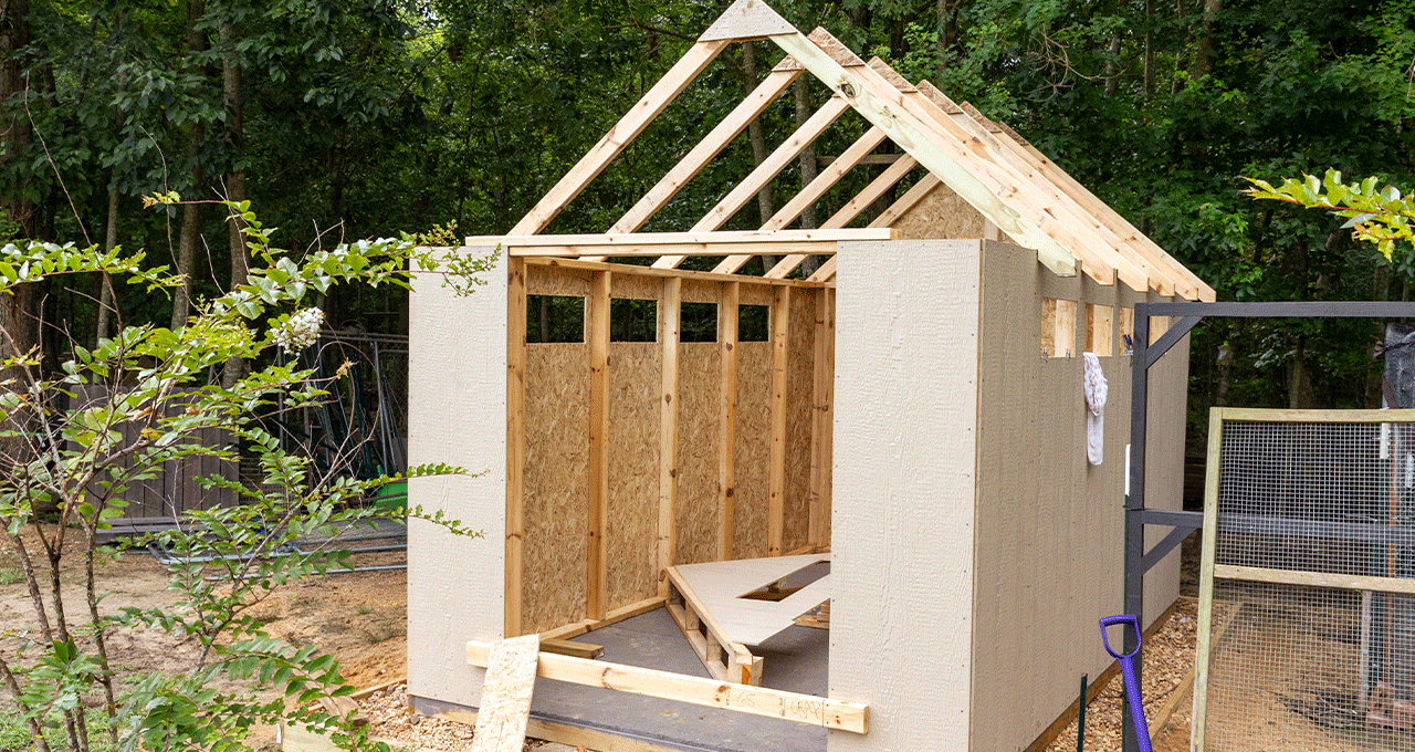 A garden shed part way through construction with plywood interior walls and wooden beams for the roof.