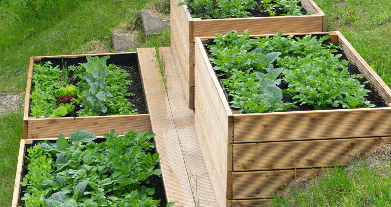 Planters composed from decking boards on sloped garden.